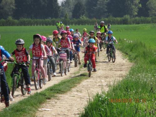 Bici (2) (2)